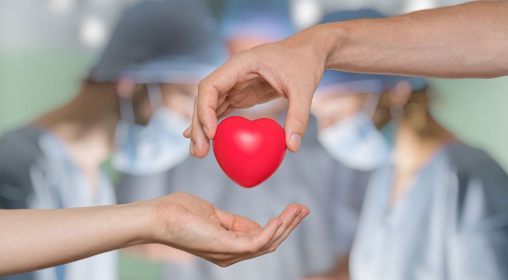 Durchführung Herzoperation Organspende Sybolisch wird Herz überreicht