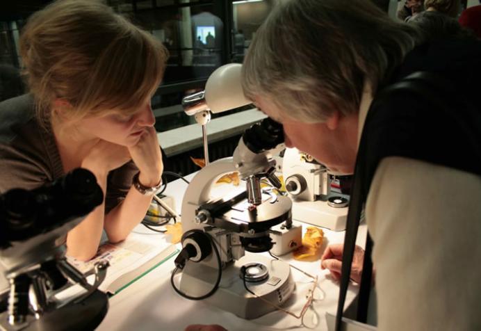 Lernstation wie man unterm Mikroskop erkennt