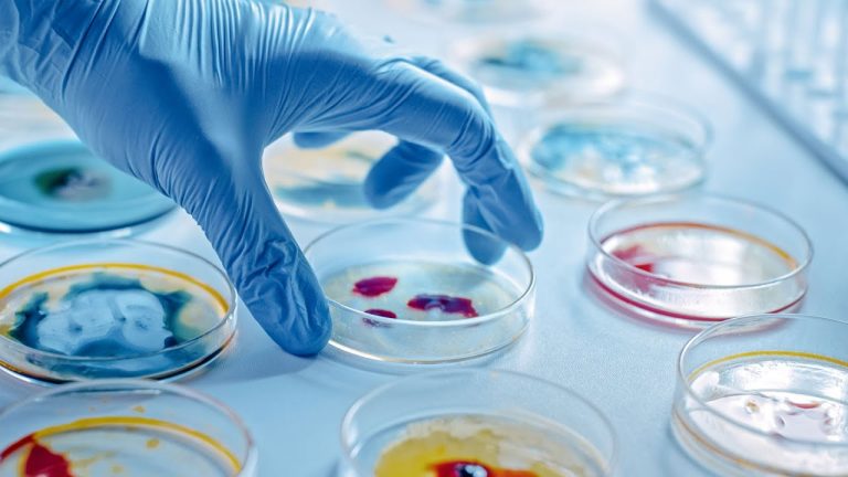 Im Kampf gegen die Resistenzen