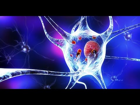 Die MHH im Gespräch: Wie eine Schlafstörung die Parkinson-Erkrankung entlarven kann