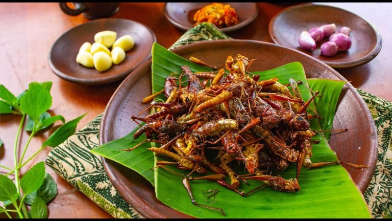 Nachhaltig Gesund Insekten – Nahrungsmittel der Zukunft?