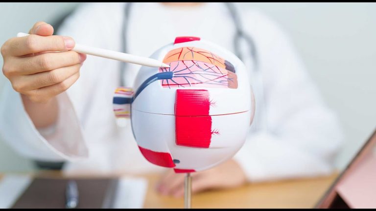 Nachhaltig Gesund Altersabhängige Makuladegeneration (AMD) – neue Therapieansätze neue Hoffnung