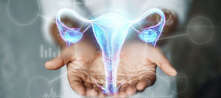 Eierstöcke Anatomie